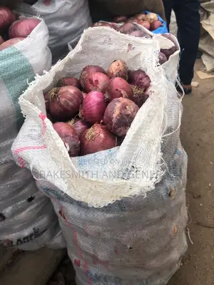 Onions Bag