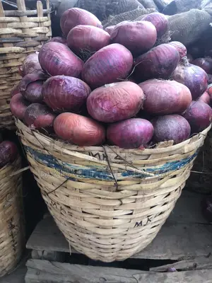 Onions Basket
