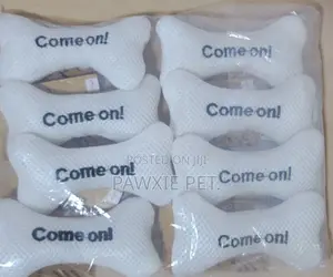 Come on Bone Design Squeaky Toy