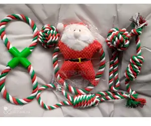 6 in 1 Set Christmas Toy