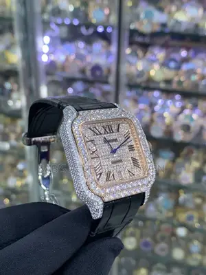 Cartier Santos Full Body Stone Automatic
