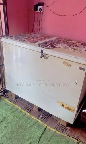 Deep+freezer+
