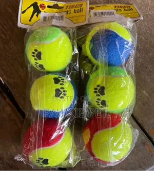 Tiger 3 in 1 Tennis Ball Toy