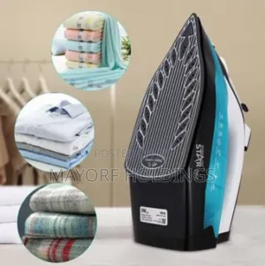 Steam Iron