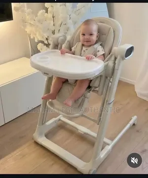 Luxury Convertible Swingbaby High Chair