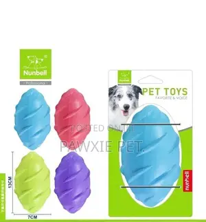 Pet Toys Squeaky