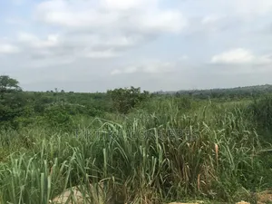 5 Arches of Land for Sale