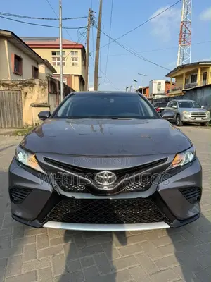 Toyota Camry XLE (2.5L 4cyl 8A) 2019 Gray
