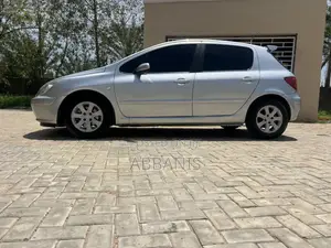 Peugeot 307 2007 Silver