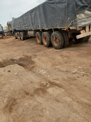 Dangote Cement Distributor