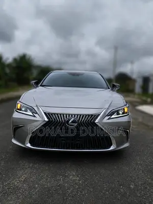 Lexus ES 250 Luxury 2021 Gray