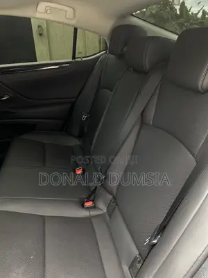 Lexus ES 250 Luxury 2021 Gray