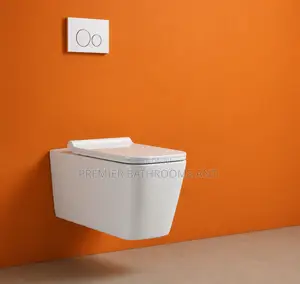 Conceal Water Closet System