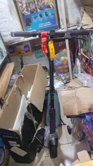 Biggest Electric Scooter