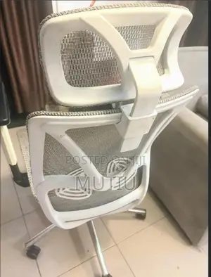 Ergonomic Office Chair With Headrest and Adjustable Armrests