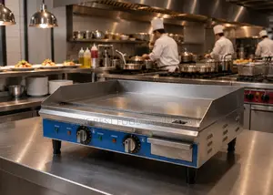 Electric Griddle