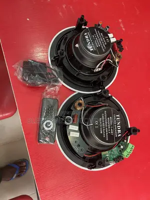 BT Ceiling Speakers