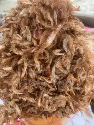 Sweet and Neat Oron Crayfish