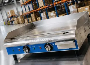 Electric Griddle