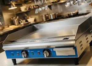 Electric Griddle