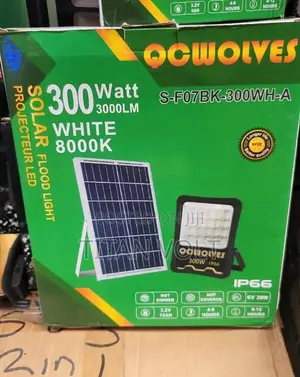 300 Watt Solar Flood Light