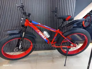 Fat Tire Bicycle