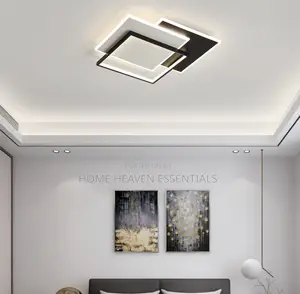 Minimalist Room Flush Chandelier Light