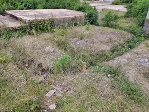 Commercial Plot