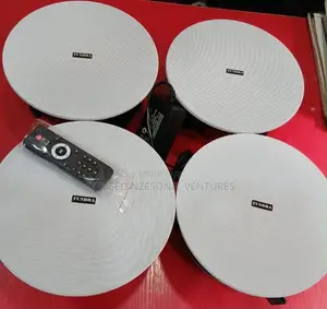 Tundra Ceiling and Pop Speaker
