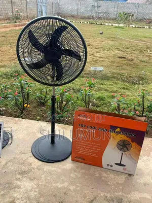 Electric Fan