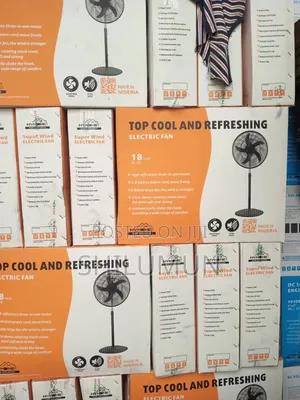 Electric Fan