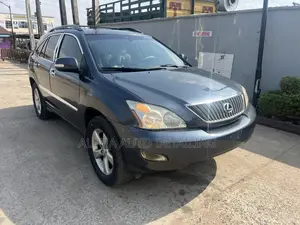 Lexus RX 2008 Gray