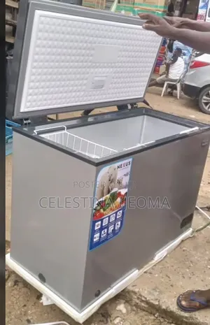 Nexus Freezer 300 Litres