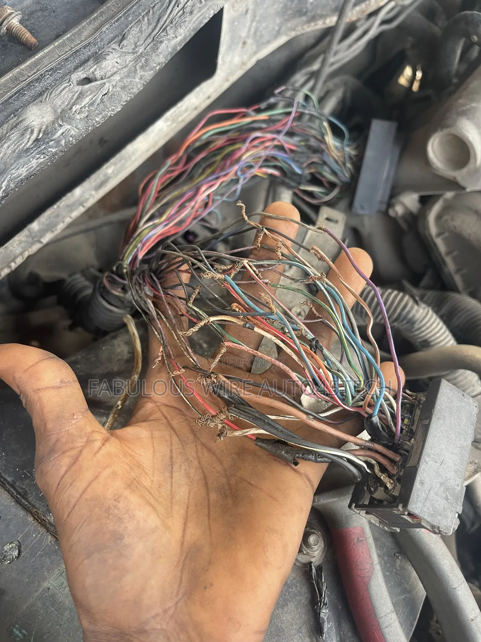 Electrical and Mechanical Tech Engineer