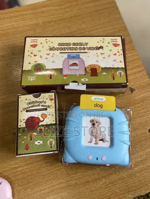 Early Education Flash Card Toy