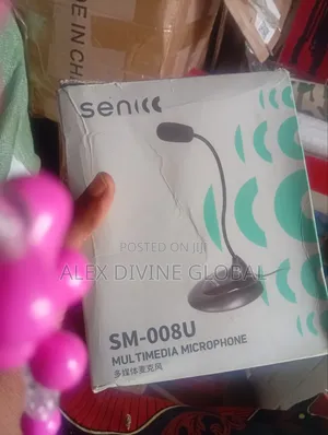 Multimedia Microphone