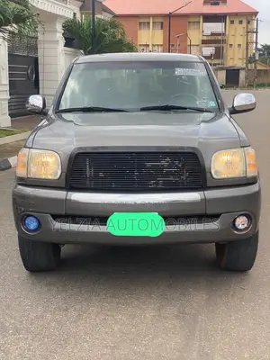 Toyota Tundra Regular Cab 2006 Gray