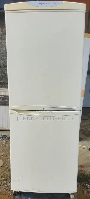 LG Double Door Fridge