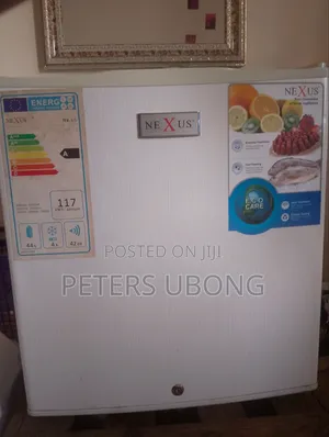 Nexus Bedside Freezer