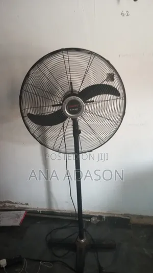 Standing Fan 