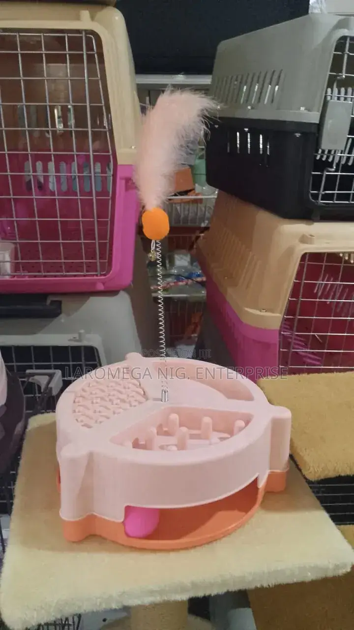 Cat Toys (With Pointer)