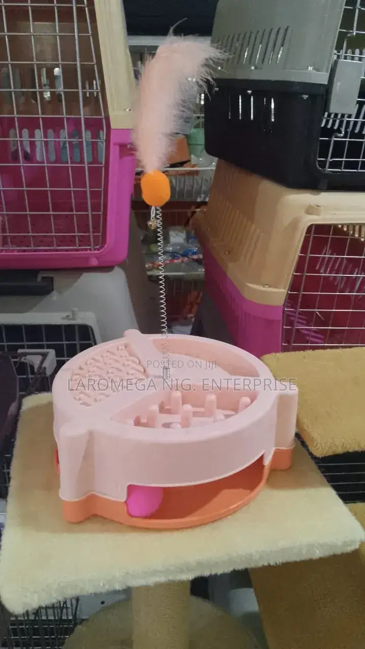 Cat Toys (With Pointer)