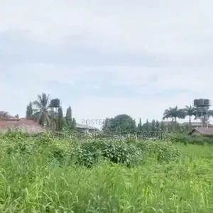 6 Plots Directly on the Road Fenced Solid