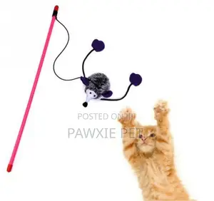 Nunbell Cat Toy