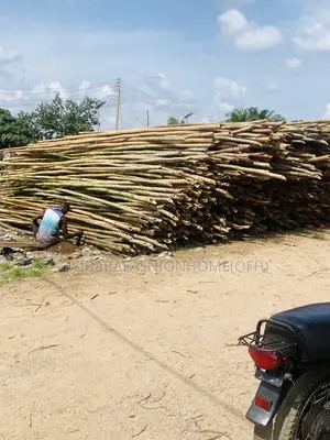 Bamboos Stick