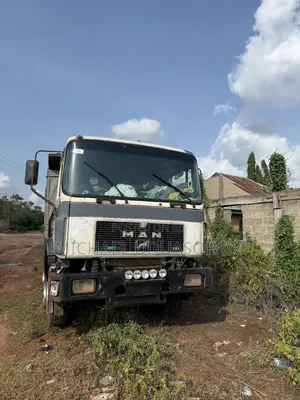 Man Diesel Truck for Sale