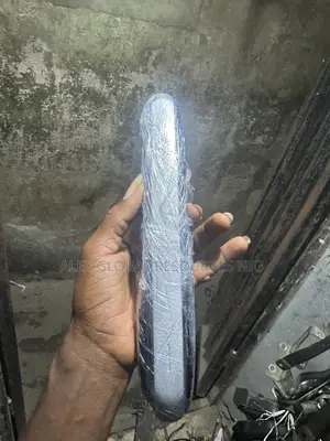 Door Handle Rx350 2025