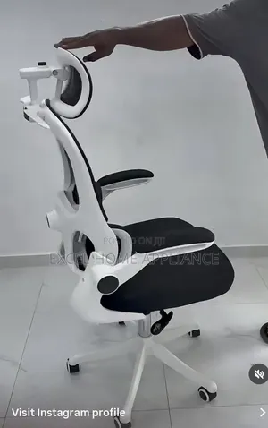 Luxury Ergonomic Executive Office Chair With Adjustable Headrest