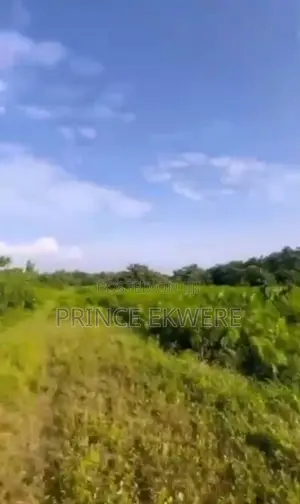 New Lands Opened at Igando Lagos