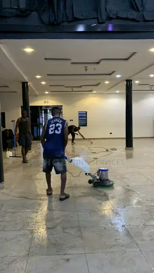 Cleaning and Laundry Company in Abuja